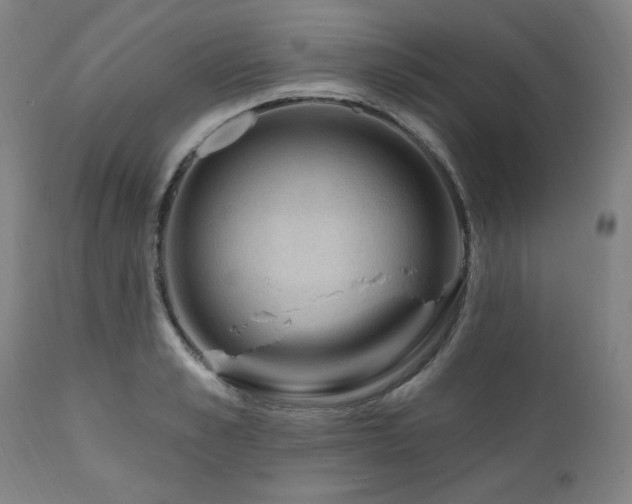 X0000111040989200906251357