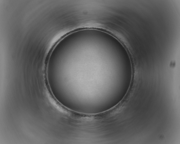 X0000111040990200906251357