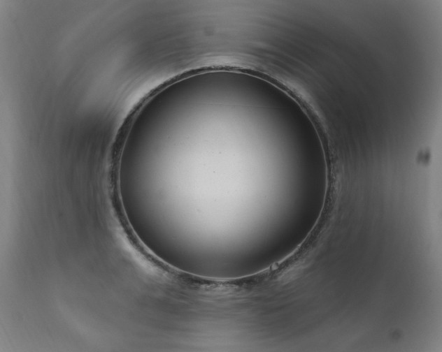 X0000111040991200906251357