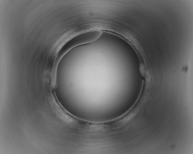 X0000111040993200906251357