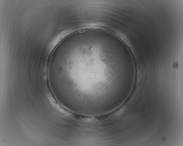 X0000111040994200906251357