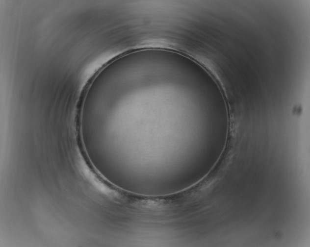 X0000111040995200906251357