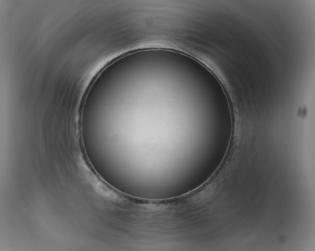 X0000111040996200906251357