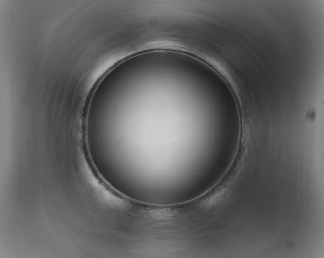 X0000111040999200906251357