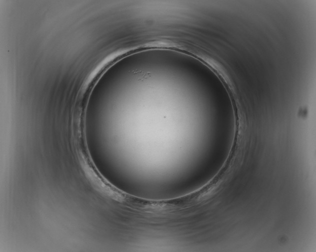 X0000111041000200906251357