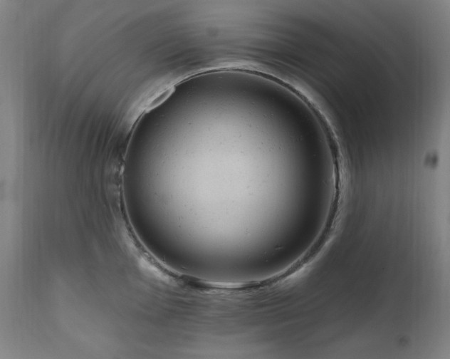 X0000111041001200906251357