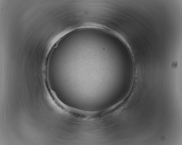 X0000111041003200906251357