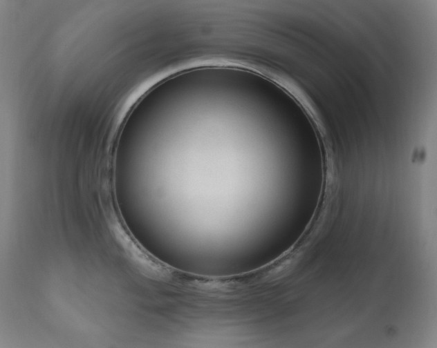 X0000111041004200906251357