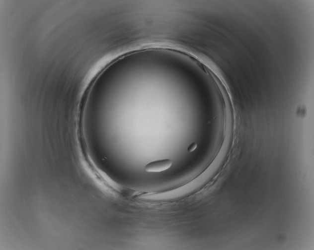 X0000111041005200906251357