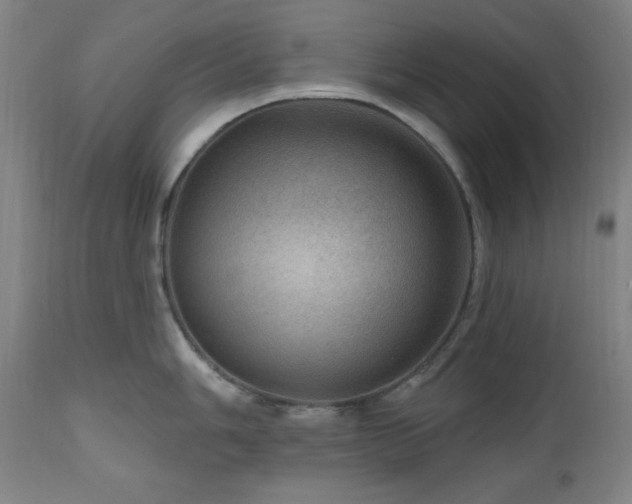 X0000111041006200906251357
