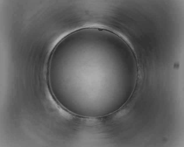 X0000111041007200906251357