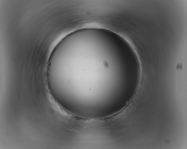 X0000111041008200906251357