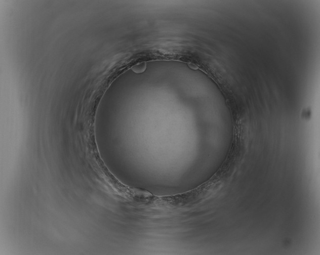 X0000111041009200906251356