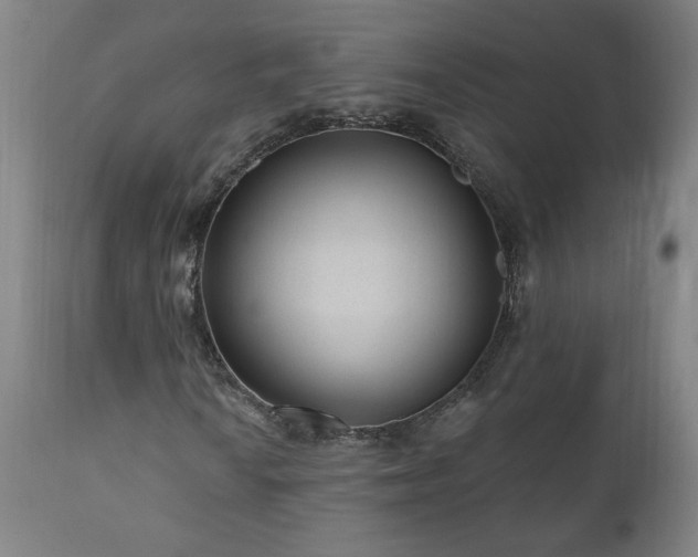 X0000111041010200906251356