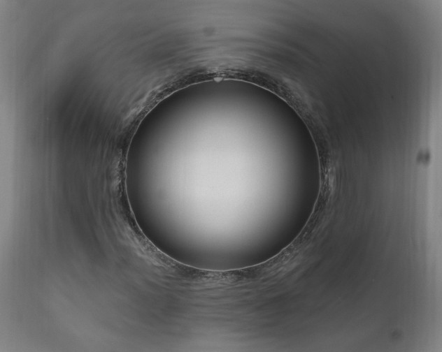 X0000111041012200906251356
