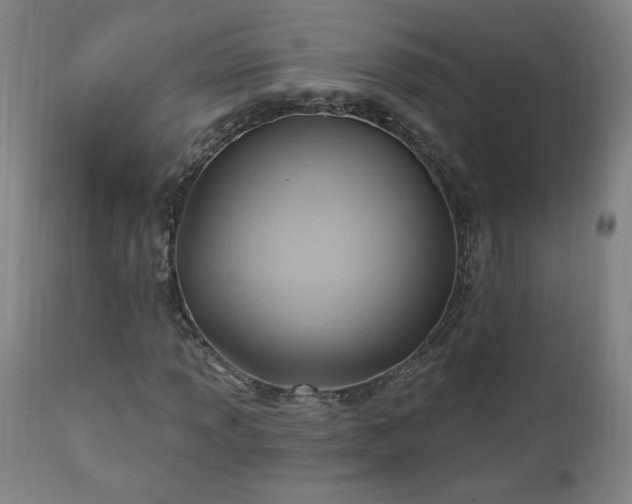 X0000111041013200906251356