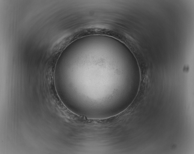 X0000111041014200906251356