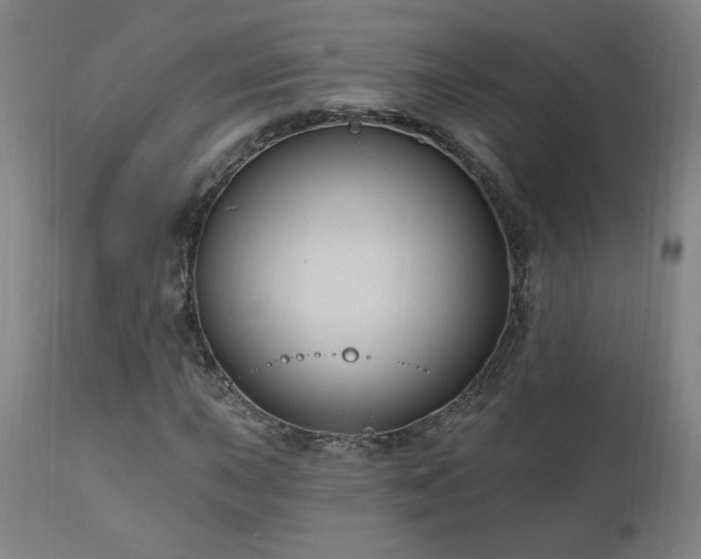 X0000111041015200906251356