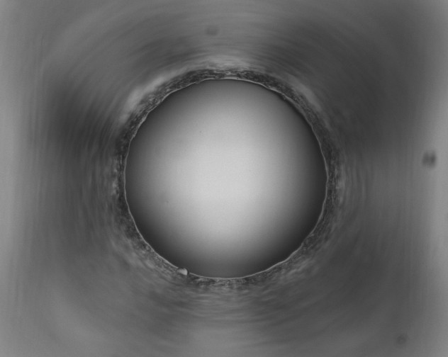 X0000111041016200906251356