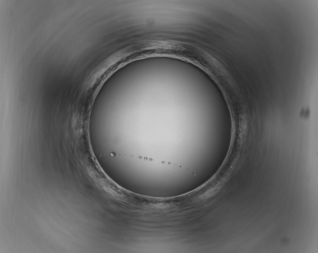 X0000111041017200906251356