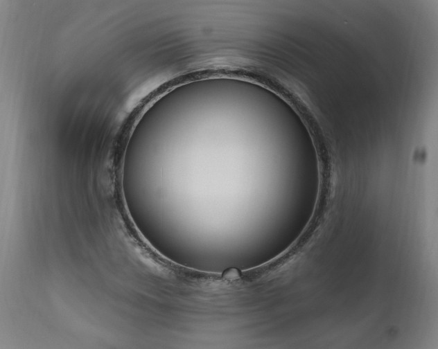 X0000111041018200906251356
