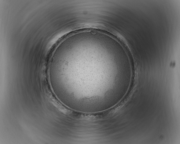 X0000111041019200906251356