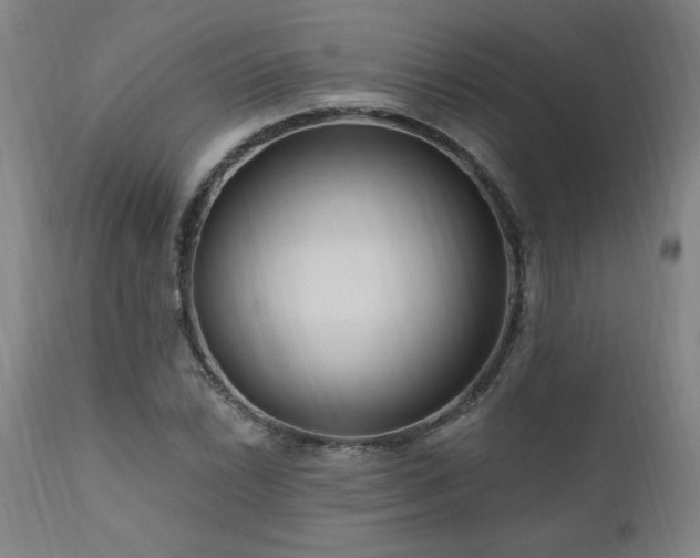 X0000111041022200906251356