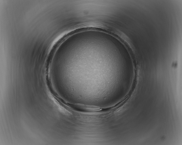 X0000111041024200906251356