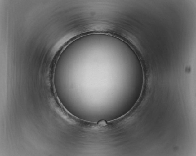 X0000111041026200906251357