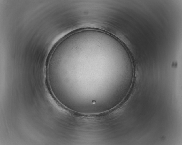 X0000111041028200906251357