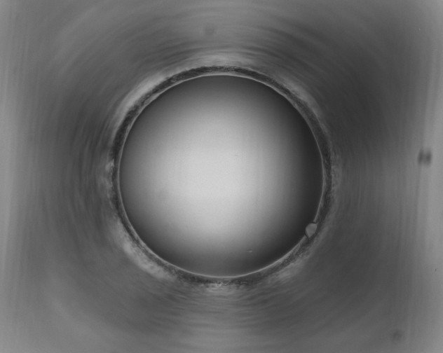 X0000111041029200906251357