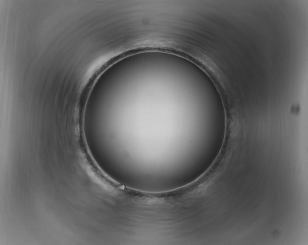 X0000111041030200906251357