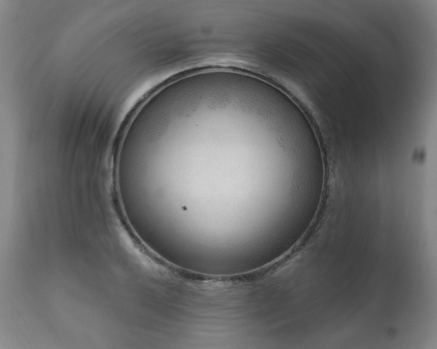 X0000111041032200906251357