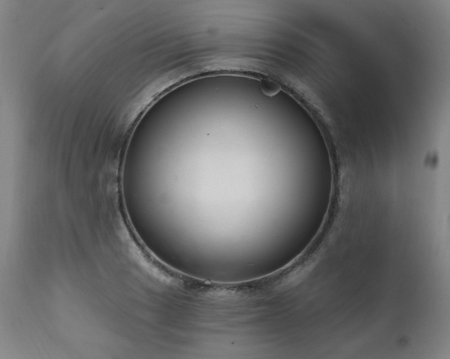 X0000111041033200906251357
