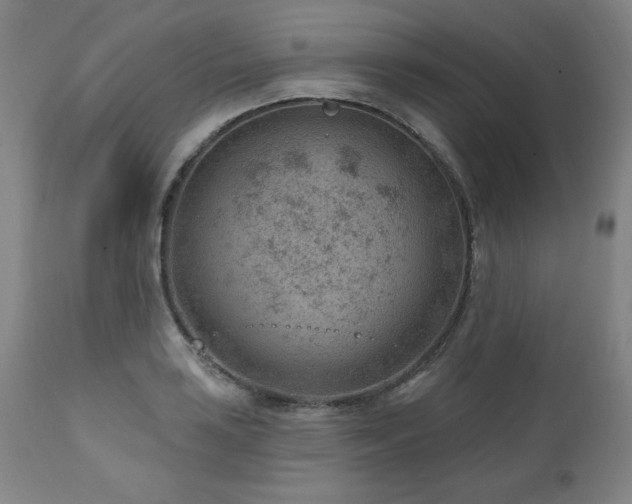 X0000111041035200906251357