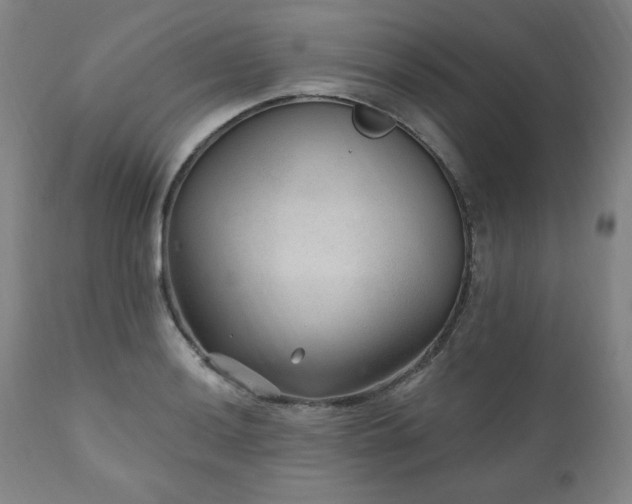 X0000111041036200906251357