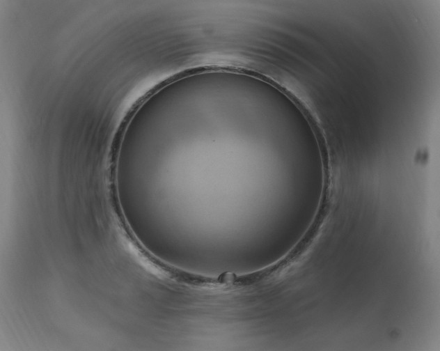 X0000111041037200906251357