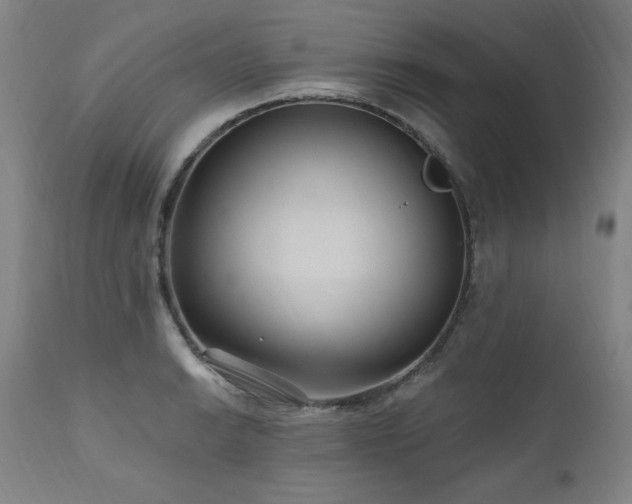 X0000111041038200906251357