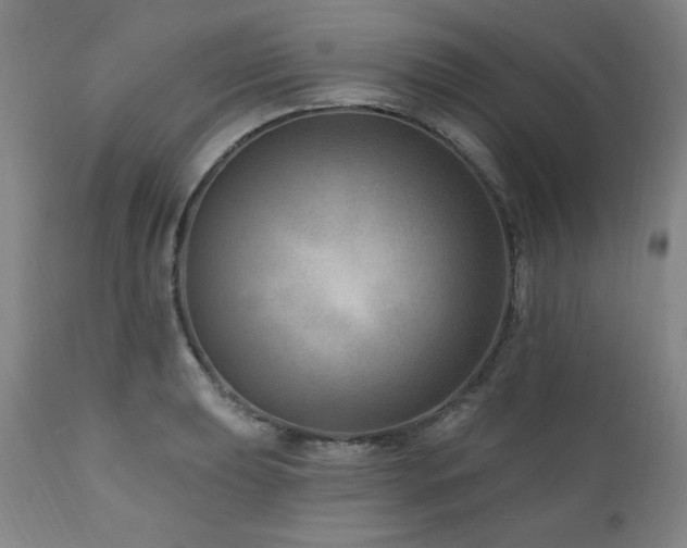 X0000111041039200906251357