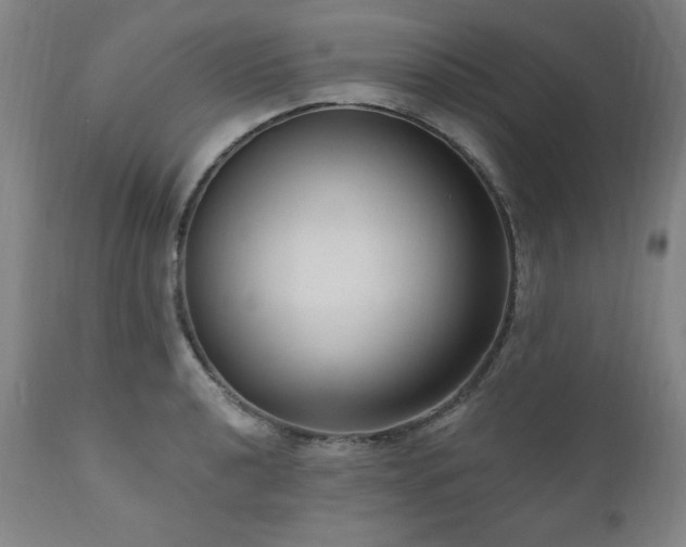 X0000111041040200906251357