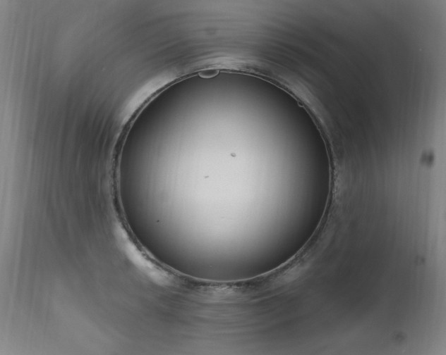X0000111041042200906251357
