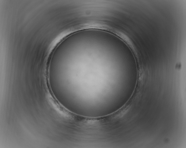 X0000111041043200906251357