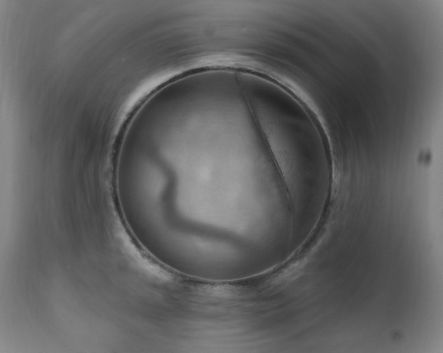 X0000111041045200906251357