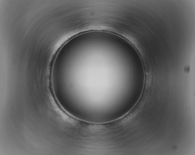 X0000111041046200906251357