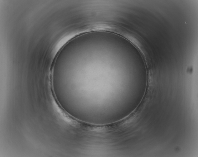 X0000111041047200906251357