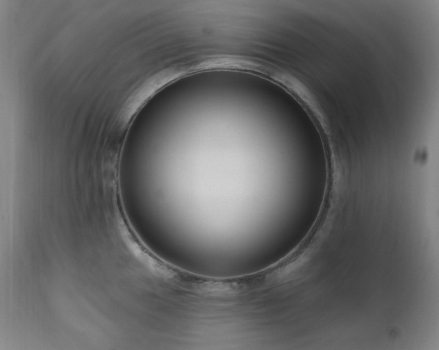 X0000111041049200906251357