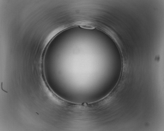 X0000111041050200906251357