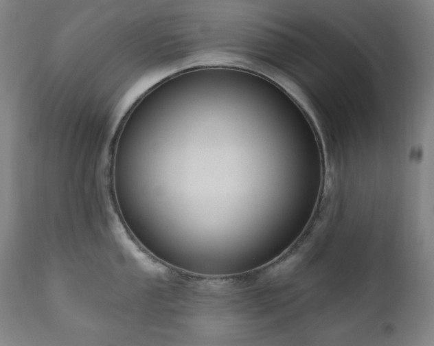 X0000111041053200906251357