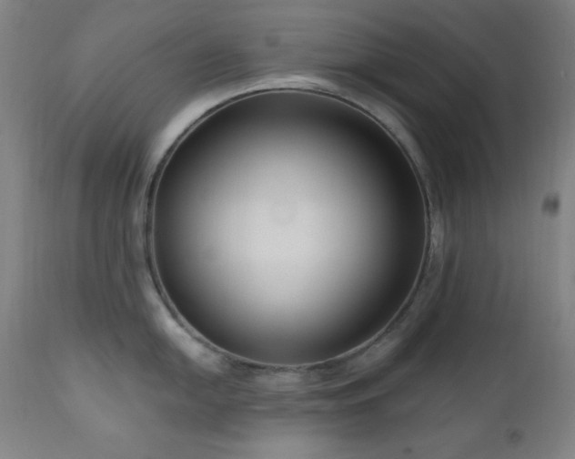 X0000111041054200906251357