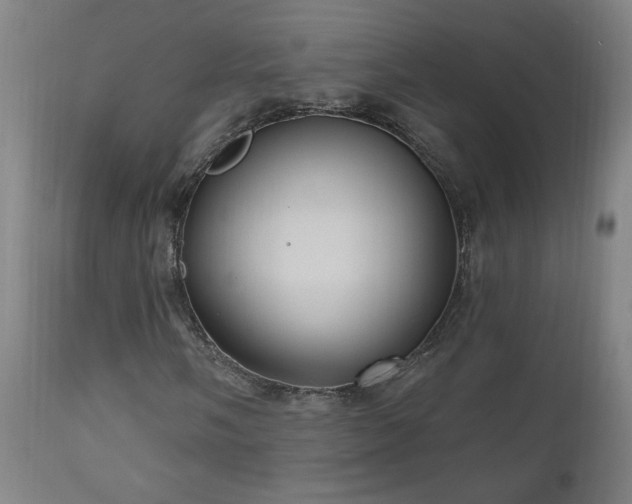 X0000111041058200906251356